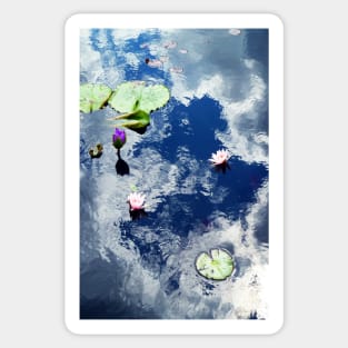 Water Lily Sticker